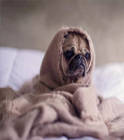 崇左有这样的手机号码，留不住钱，你中枪了吗？