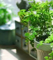 崇左专属于你的开运指南，助你鸿运当头福满身！