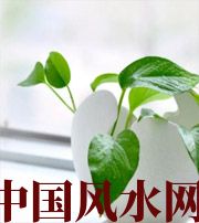 崇左家中摆放六种吉祥物，会打开您的财运大门！